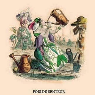 Pois de Senteur by J.J. Grandville