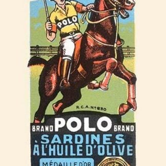 Polo Brand Sardines in Olive Oil