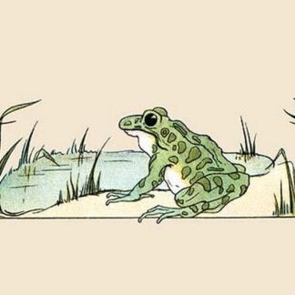 Pond Frog by Frances Beem
