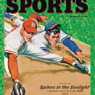 Popular Sports: Spikes in the Sunlight