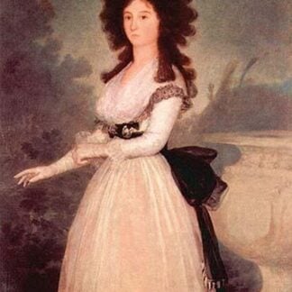 Portrait of Dona Tadea Arias de Enriquez by Francisco de Goya