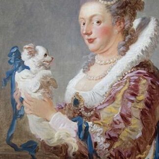 Portrait of a Woman with a Dog by Jean Fragonard
