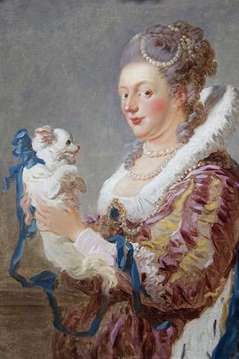 Portrait of a Woman with a Dog by Jean Fragonard