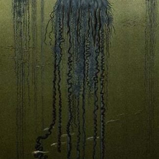 Portuguese Man O' War by Friedrich Wilhelm Kuhnert