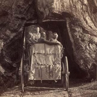 President Roosevelt amid 'Nature's Wonders' by Underwood & Underwood