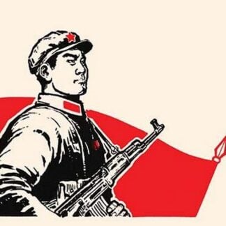 Proud Soldier by Chinese Government