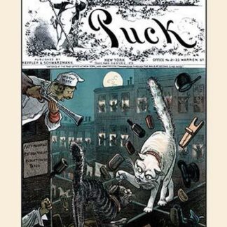 Puck Magazine: The Citizens Aroused by F. Graetz