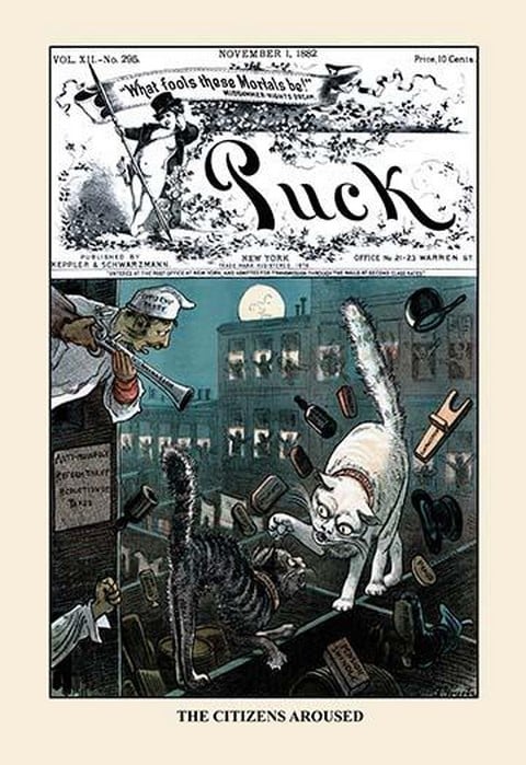 Puck Magazine: The Citizens Aroused by F. Graetz