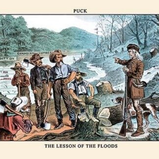 Puck Magazine: The Lesson of the Floods by Bernhard Gillam