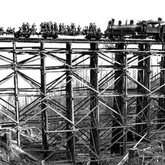 Pulling Out of the Clearcut by Darius Kinsey