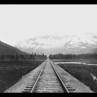 Railroad on the Kenai Penisula by Gordon