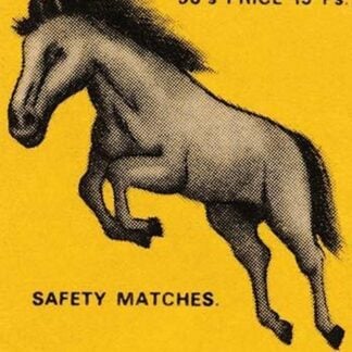 Raja Winner Safety Matches
