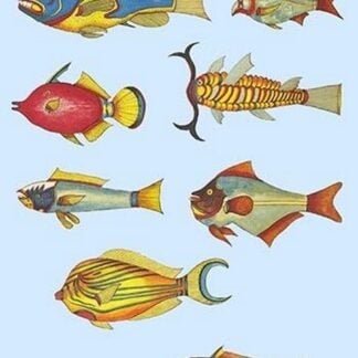 Rarest Curiosities of the Fish of the Indies by Louis Renard 0