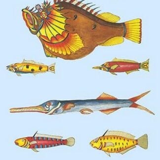 Rarest Curiosities of the Fish of the Indies by Louis Renard #2
