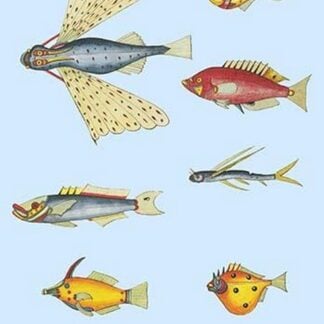 Rarest Curiosities of the Fish of the Indies by Louis Renard #25