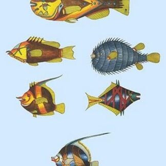 Rarest Curiosities of the Fish of the Indies by Louis Renard #30