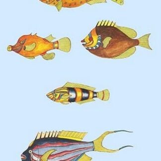 Rarest Curiosities of the Fish of the Indies by Louis Renard #37
