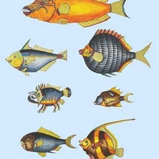 Rarest Curiosities of the Fish of the Indies by Louis Renard #4