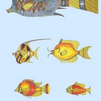 Rarest Curiosities of the Fish of the Indies by Louis Renard #43