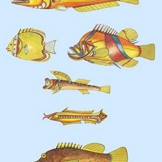 Rarest Curiosities of the Fish of the Indies by Louis Renard #44