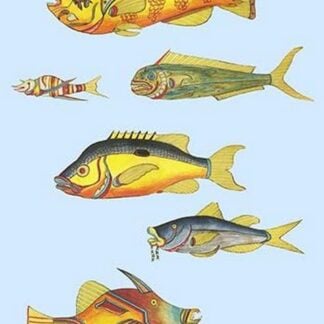 Rarest Curiosities of the Fish of the Indies by Louis Renard #50