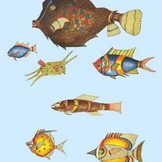 Rarest Curiosities of the Fish of the Indies by Louis Renard #54
