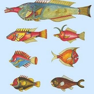 Rarest Curiosities of the Fish of the Indies by Louis Renard #7