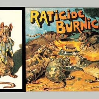 Raticide Burnichon by Theophile Alexandre Steinlen
