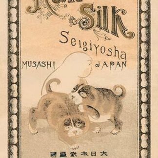 Raw Silk Seigiyosha Japan