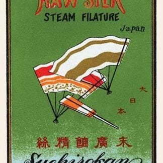 Raw Silk Steam Filature