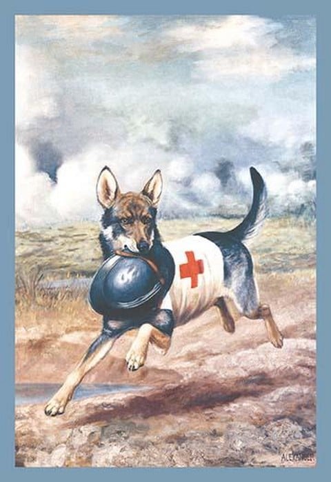 Red Cross Dog by Alexander Pope