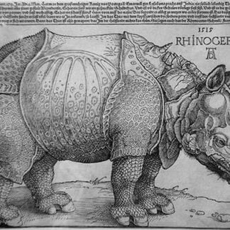 Rhinoceros by Albrecht Durer