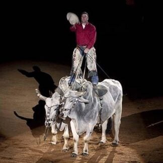 Riding the Bulls by Carol Highsmith