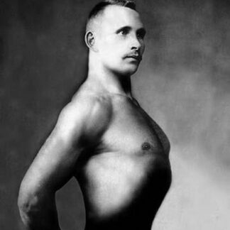 Right Profile of Bodybuilder from the Waist Up