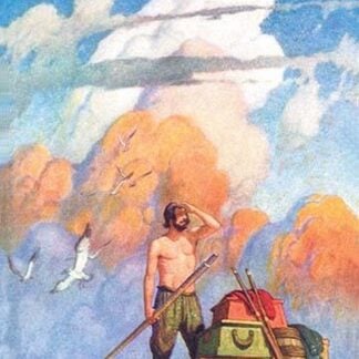Robinson Crusoe's Raft by N.C. Wyeth