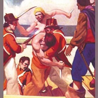 Rock Brisiliano by George Taylor