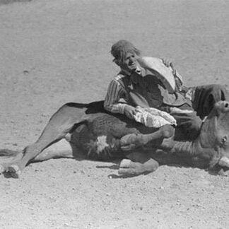 Rodeo Clown by Arthur Rothstein