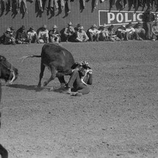 Rodeo Performer Bulldogging a Calf by Russell Lee