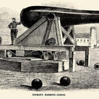 Rodman's Mammoth Cannon