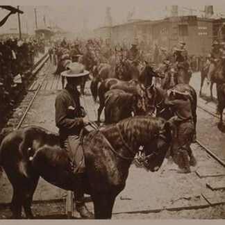 Roosevelt's 'Rough Rider's' arrival at Tampa
