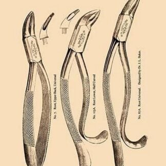 Root Forceps by H. D. Justi & Son