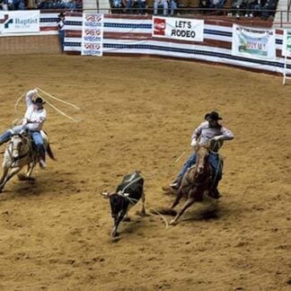 Roping the Calf by Carol Highsmith