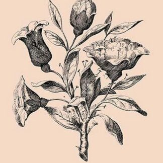 Roses & Noses by American Puzzle Co.