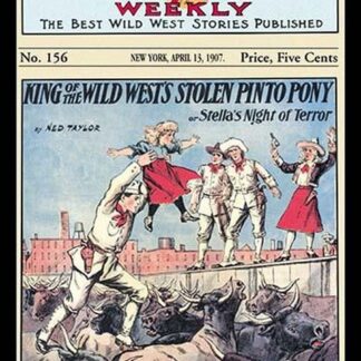 Rough Rider Weekly: King of the Wild West's Stolen Pinto Pony by C. J. Taylor