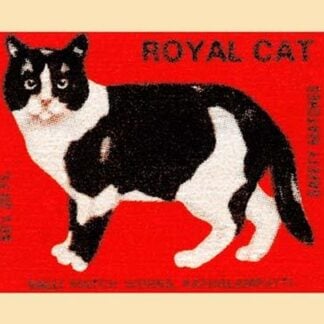 Royal Cat