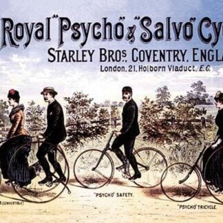Royal Psycho and Salvo Cycles