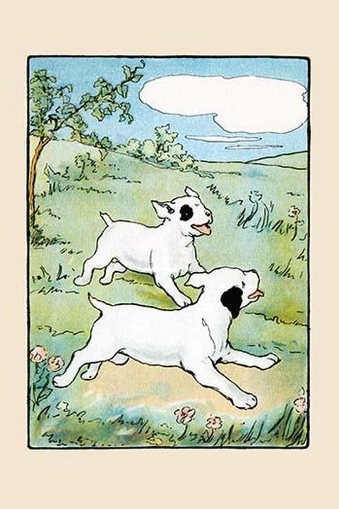 Run Across the Fields by Julia Dyar Hardy