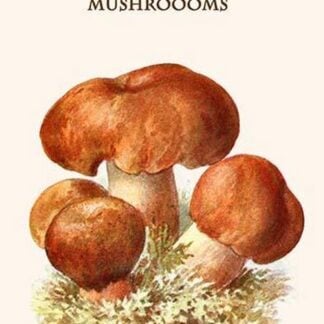 Russula Red-Capped Mushroooms By Edmund Michael