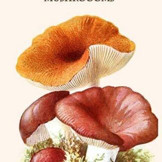 Russula Red-Capped Mushroooms By Edmund Michael