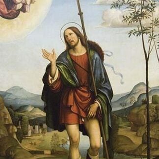 Saint Roch by Francesco Francia